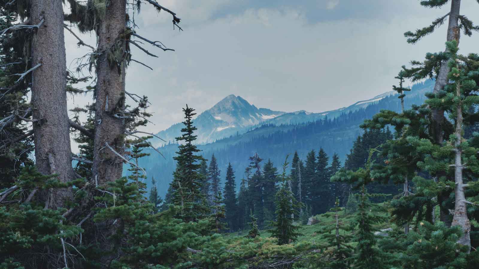 Retreat Rentals in Forks, Washington